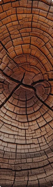 Cashmere wood